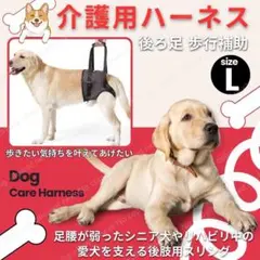 Item thumbnail for item 37cdef6b-bdd2-4114-aa6e-73455a921c7c