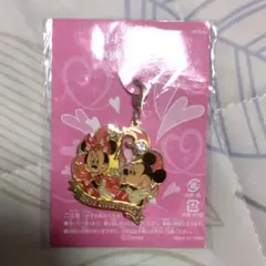 東京ディズニーランド 非売品ファスナーチャーム 2004バレンタインナイト限定品
