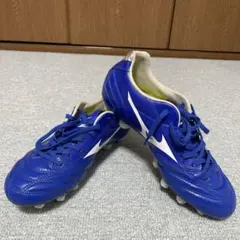 モナルシーダ NEO