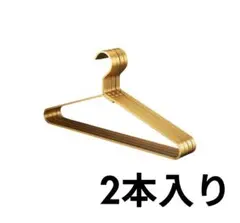 ⭐訳あり⭐　おしゃれハンガー　２本　ゴールド　金色　金属　合金　スチール　耐久性