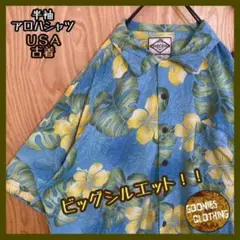 Item thumbnail for item 86cac4aa-3084-4eee-ac34-91b9c38ac6b3