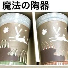 保温保冷　魔法の器　キーポ清山　タンブラー　ビアグラス　湯飲み　2個セット