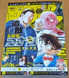 少年サンデー　No.33　福田ルミカ