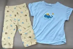 夏用 Tシャツ ズボンセット 100cm
