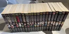 日本文芸社 ニチブンコミックス 渡辺みちお 白竜 全21巻 セット