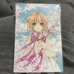 さくら展　ポストカード　5枚セット　カードキャプターさくら