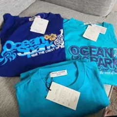 サーフ柄　Tシャツ2枚　新品　無地Tシャツ新品１枚