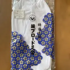 Item thumbnail for item 74d21dc0-896f-41bf-9406-39d5fff67120