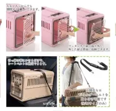 Item thumbnail for item 60b0146e-854b-49e9-8613-d201d29f6051