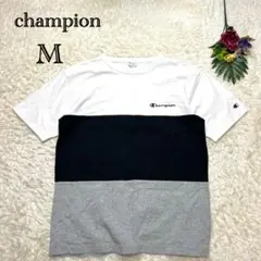チャンピオン　メンズTシャツ　マルチボーダー　ワンポイント刺繍ロゴ　半袖　綿　M