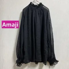 未使用　シアー　シフォン　シースル　シャツ　ブラウス　フリル　スタンドカラー