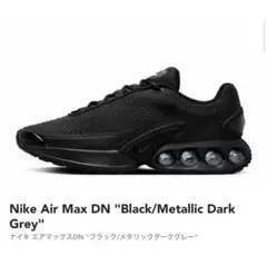 NIKE AIR MAX DN black 28センチ　エアマックス