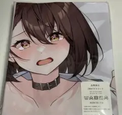 アズールレーン ボルチモア 抱き枕カバー アズレン