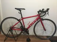 MARIN ARGENTA