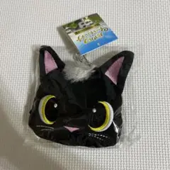 ルドルフとイッパイアッテナ　ポーチ付き　エコバッグ　未使用