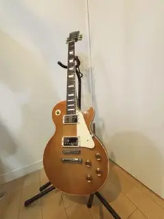 F6シリアル　フジゲン製　エピフォン　レスポールスペシャル IGiG ケース 2025年最新】エピフォン フジゲンの人気アイテム - メルカリ