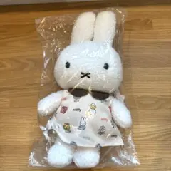 Item thumbnail for item 2feed252-6e15-44ff-9dbb-6d4b9bdc2e70