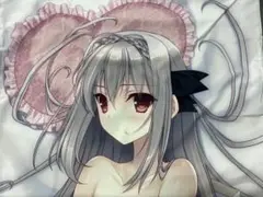 桜小路ルナ　ルナさまメジャーで身体測定 抱き枕カバー 正規品