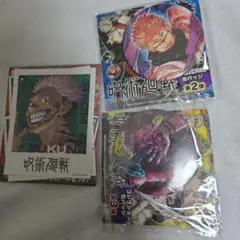 呪術廻戦　コレクション缶バッジ&フォトカードステッカー　両面宿儺