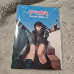 PS2 アマガミ 特典 アマガミ Various Artists 0