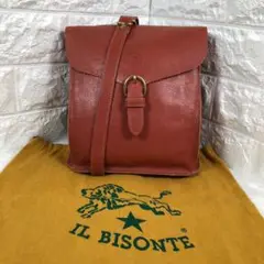 ✨極美品✨保存袋付き ILBISONTE 本革 オールレザー ショルダーバッグ