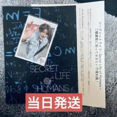 本髙克樹 シークレットライフ SecretLife