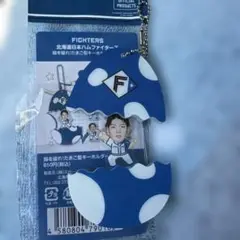 ファイターズたまご型キーホルダー⭐️野村選手