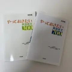 やっておきたい英語長文 300 & 700 セット