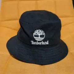 Item thumbnail for item 4d09b662-3f26-46e4-98d0-ecaad99aca49