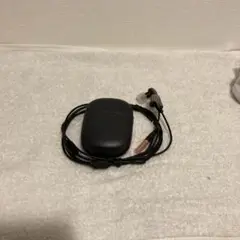 Item thumbnail for item 4ae48066-50e4-4b8c-82e2-62f2ae0bb819