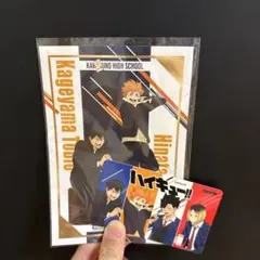 ハイキューブロマイドセット