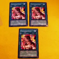 遊戯王　旧アジア　突然変異　メタモルフォーゼ　3枚セット