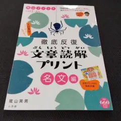 徹底反復 文章読解プリント 名文編