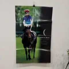 アドマイヤムーン　特大ポスター【１コイン価格】競馬　サラブレ79cm×50cm