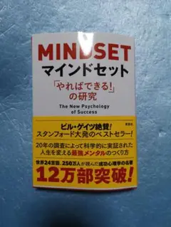 マインドセット やればできるの研究