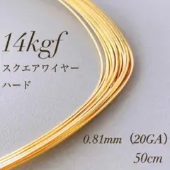 Item thumbnail for item 83c218fe-0864-4233-8cb0-dac52cf4f32c
