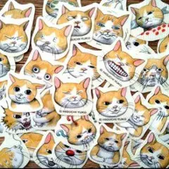 猫の顔ステッカーセット 約30枚
