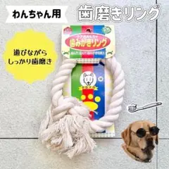 Item thumbnail for item 47946012-5f32-47fd-a2ca-415b060eda34