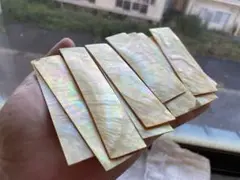 白蝶貝　スライス　8枚セット　2,5x10cm前後　厚み1,2mm
