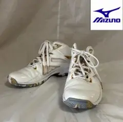 ⭐️MIZUNO⭐️WAVE DIVERSE LG4 ホワイト 23㎝