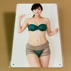 【新品】 高島彩　ブリキ看板　アヤパン　女子アナ　グリーン下着　セクシー　激レア