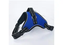 Item thumbnail for item 20c409fe-0a09-432e-ad2c-b40af5f63331