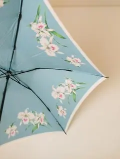 Item thumbnail for item 03f008cd-c077-4e1d-9595-e66f1d1ed7b7