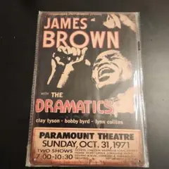 JAMES BROWN ポートレイト