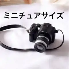 ❤️ミニチュアカメラ❤️ 一眼レフ　黒　ブラック　カメラ