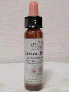 Item thumbnail for item 0c0619bc-282c-43c9-96ad-9d4dd6b55eae