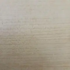 クロさん専用