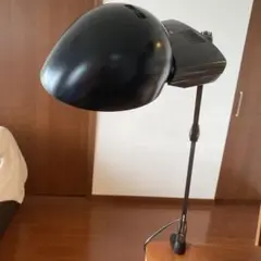 ヤマギワ　バイオライト　ラクソ