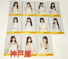 AKB48 Oh my pumpkin タワレコ 限定 ポストカード11枚コンプ