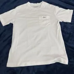 ラコステ LACOSTE classic fit